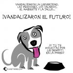 ¿Quiénes son los violentos?